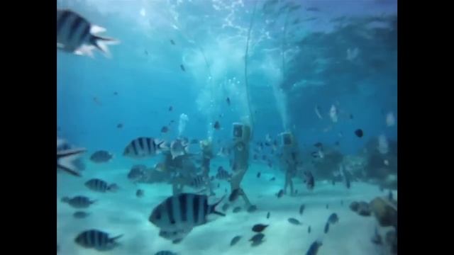 Visit Bora Bora French Polynesia - Full Travel Guide For Bora Bora