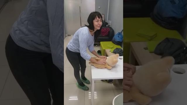 Как сделать массаж коту