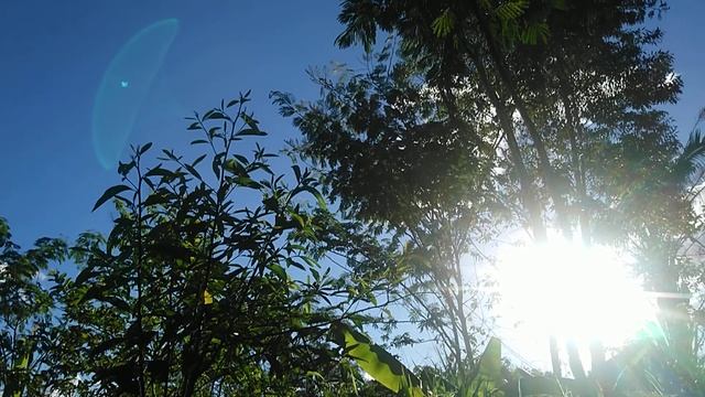 "cintamani prakara sadmasu" - mantra de Los milagros. смотреть онлайн