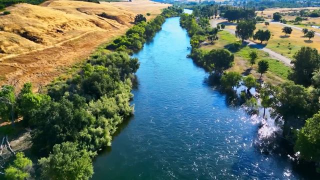 Nhạc Không Lời Trịnh Công Sơn Phiêu Theo Từng Nốt Nhạc, Hòa Tấu Guitar Những Bài Hát Hay Nổi Tiếng смотреть онлайн