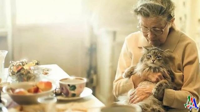 - Ай-ай-ай, кто-то мой суп вкусный съел! – причитала хитрая старушка, а КОТЫ сыто кивали головами смотреть онлайн