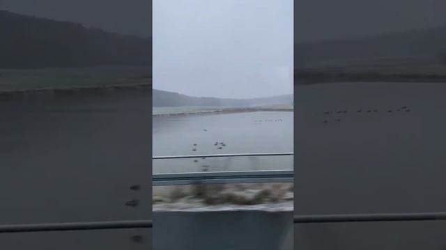 Herzogenaurach, Germany #shorts #herzogenaurauch смотреть онлайн