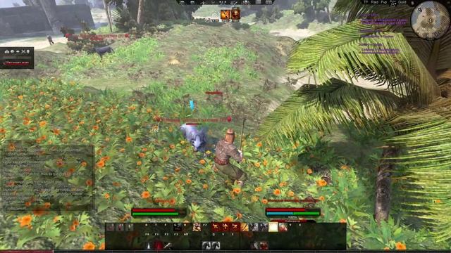 Стрим Age of Conan: Unchained Прохождение #2 Белые Пески смотреть онлайн