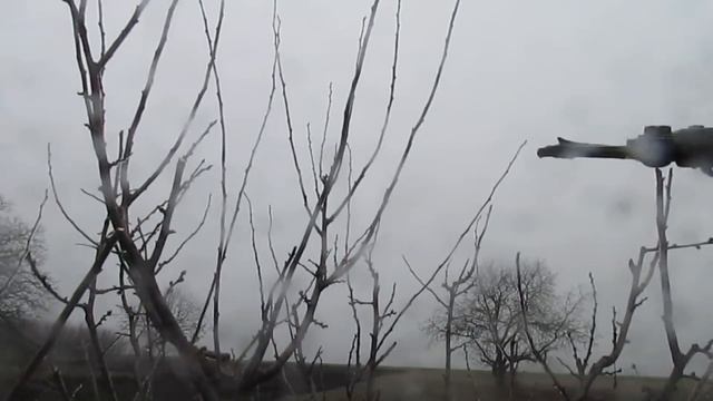 Обрезка сливы. Рекомендуется для обрезки ВЕСНОЙ. смотреть онлайн