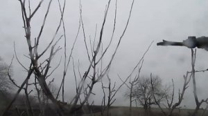 Обрезка сливы. Рекомендуется для обрезки ВЕСНОЙ.