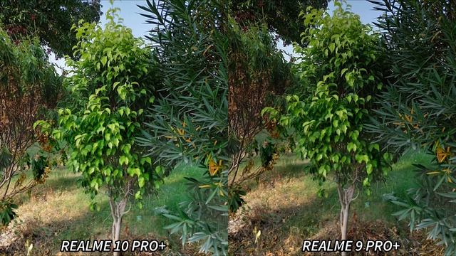 Realme 10 Pro Plus vs Realme 9 Pro Plus Camera Test &Comparison смотреть онлайн