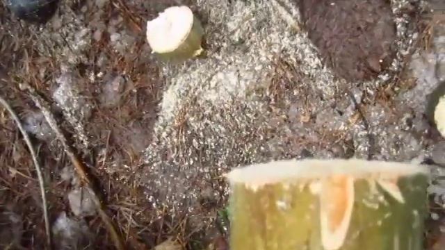 Чем пилить в одиночном походе смотреть онлайн