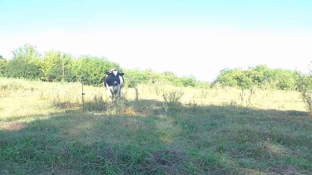 Как живётся сейчас в Российской деревне? смотреть онлайн