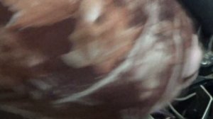 Не срабатывает сирена на сигнализации Tomahawk TW-9010, ищу причину неисправности.