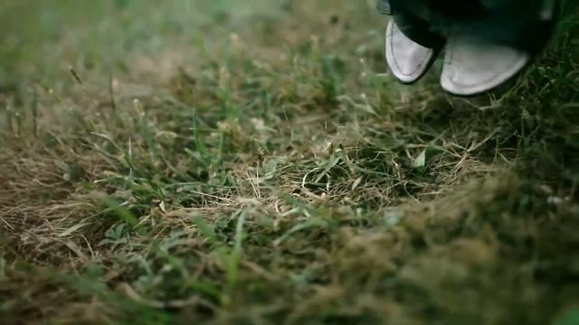 Роман и Юля - история любви - love story video смотреть онлайн