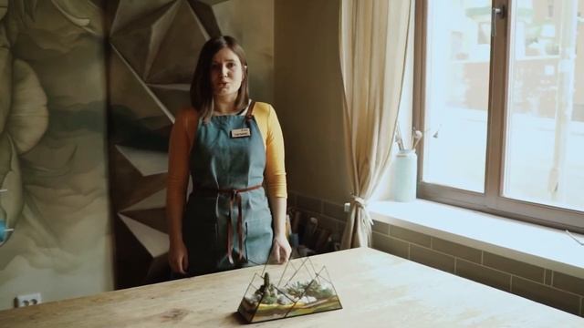 Уход за растениями: флорариум и суккуленты смотреть онлайн