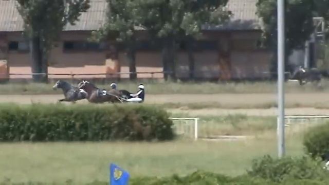 Киевский ипподром 03.07.2016 приз Барса 1й гит смотреть онлайн