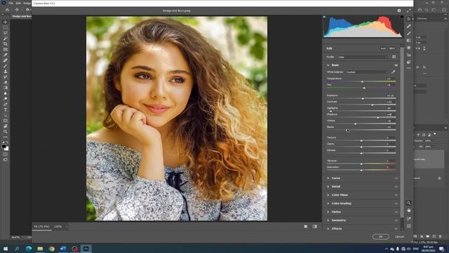 Photo color correction Using Adobe Camera Raw Filter смотреть онлайн