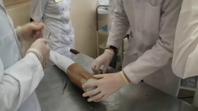 хирургическая олимпиада ЧГУ смотреть онлайн