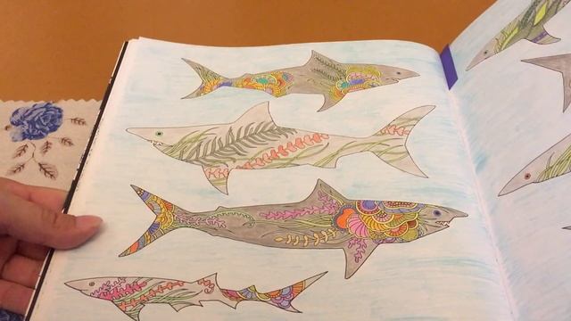 62. Раскрашено за июнь 2023 смотреть онлайн