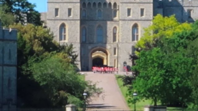 DAY IN THE LIFE VLOG | Exciting Wedding Planning, Deer Spotting In Windsor Great Park & Date Night! смотреть онлайн
