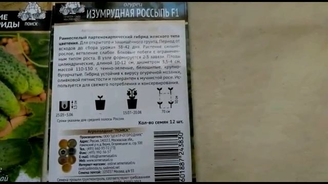 Изумрудная россыпь. Новинка в моей коллекции огуречных гибридов... смотреть онлайн