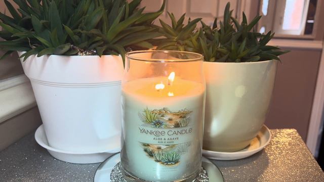 Yankee Candle Aloe & Agave Review & Chit Chat смотреть онлайн