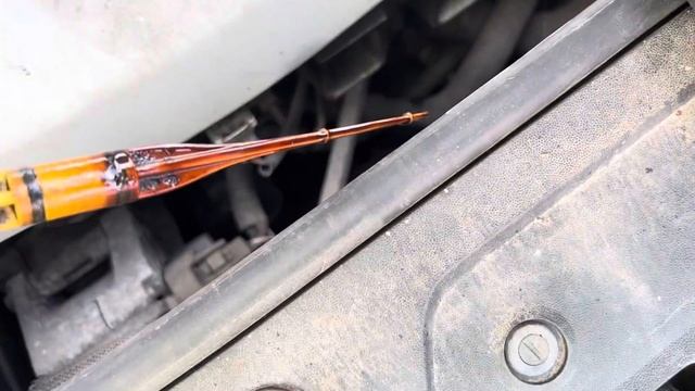 Разборка Renault - Megane 2 2002-2009, 1.6 (VIN: VF1CM0C0H27984413) YM52ZTC смотреть онлайн