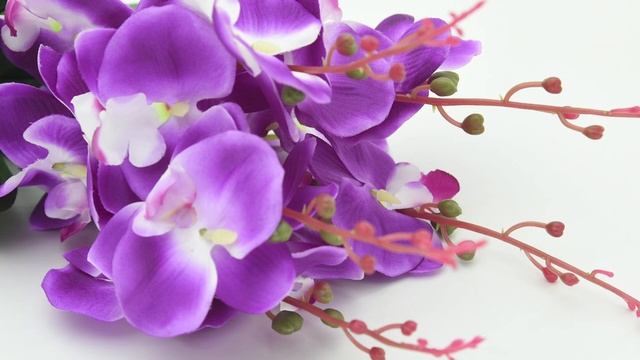 Об этом стоит знать: Можно ли держать орхидеи дома смотреть онлайн