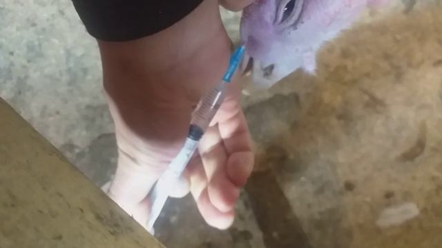 прокол пазух смотреть онлайн