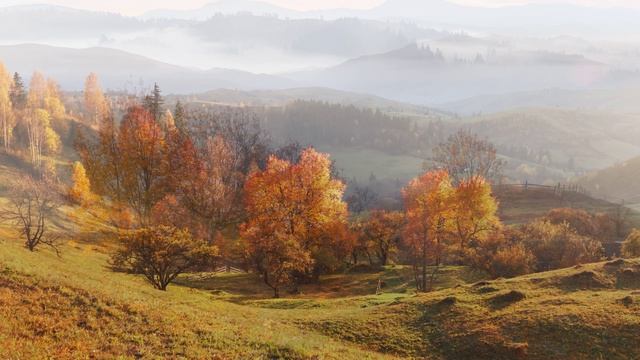 autumnal-glow смотреть онлайн