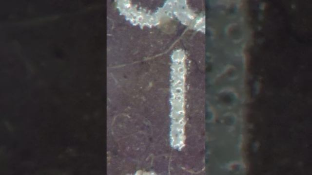 Nikon Smz-1000, предварительные данные по юстировке и механической стабильности