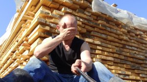 Утепляю купель . собираю в лесу шишку