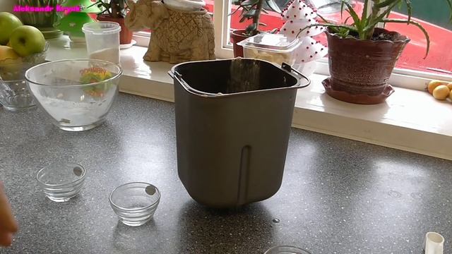 Шахматный Мир