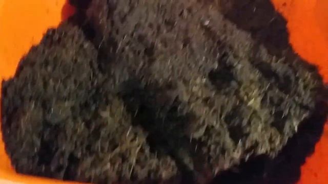 Кокосовый торф. Как использовать для рассады. смотреть онлайн