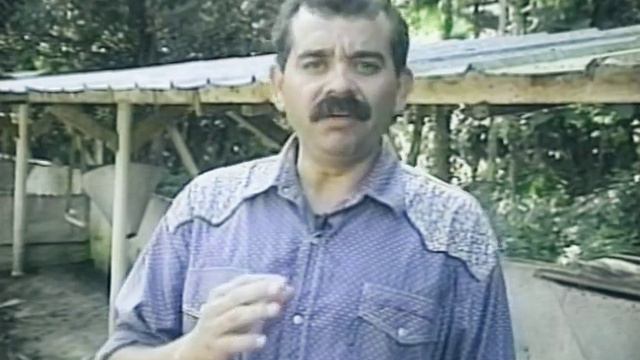 Criação de Rãs - Guia Completo para uma Implantação de um Ranário смотреть онлайн