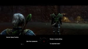 ПОЧЕМУ НЕ СТАЛА ПОПУЛЯРНОЙ? - Kingdoms of Amalur: Re-Reckoning - Обзор