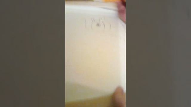 Как нарисовать дракона беззубика из мультфильма как приручить дракона 3.Урок рисования для детей.ли