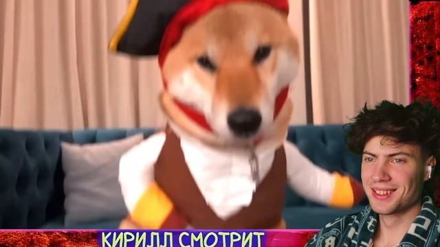 ЭДИСОН ВПЕРВЫЕ НАДЕВАЮ КОСТЮМЫ НА МОЮ СОБАКУ! РЕАКЦИЯ НА ЭДИСОНА ВТОРОЙ КАНАЛ ВЛОГ С МАРТИ смотреть онлайн