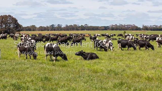 Riverside Two - South West Dairy Showpiece For Sale.