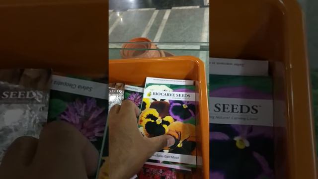 Horticultire Shop bhopal смотреть онлайн