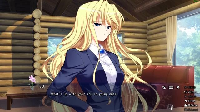 The Afterglow Of Grisaia: Part 4 - Asako's Past With JB