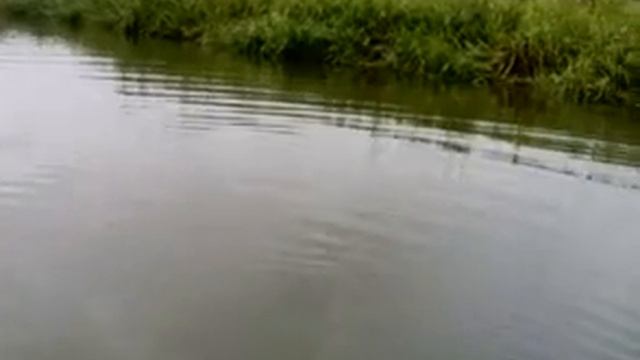 Щука 2,8 кг .mp4 смотреть онлайн