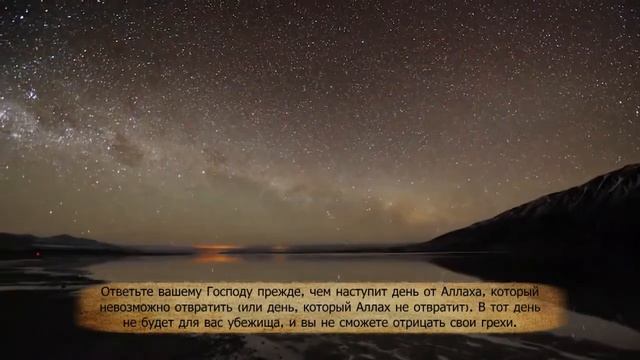 Мухаммад Люхайдан - Сура "аш-Шура", аяты 44-48 смотреть онлайн