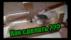 Как сделать мышеловку из пластиковой бутылки?