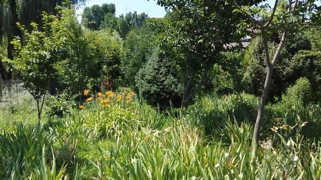 Алматы. Горячий Источник на ГРЭС . смотреть онлайн