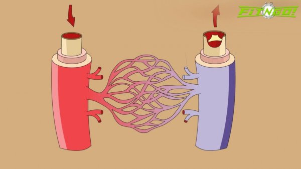 КАК РАБОТАЕТ EMS?