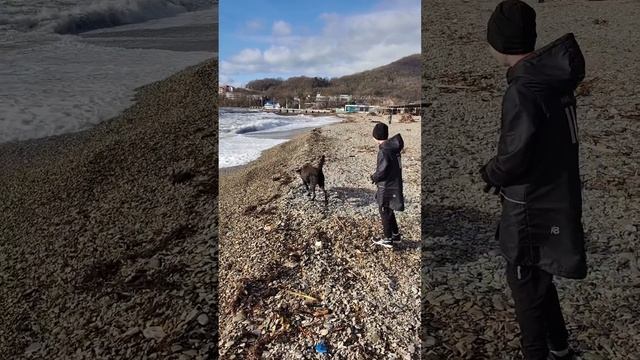 Архипо-Осиповка декабрь 2023 года ? Санаторский пляж ?️ Видео: @dr_chernyshev смотреть онлайн