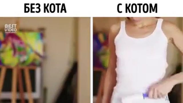 Без кота и жизнь не та! смотреть онлайн