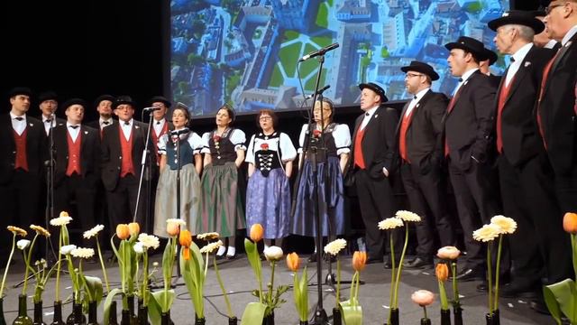 "Mini Heimatstadt" (Emil Wallimann, Robert Kuster) смотреть онлайн