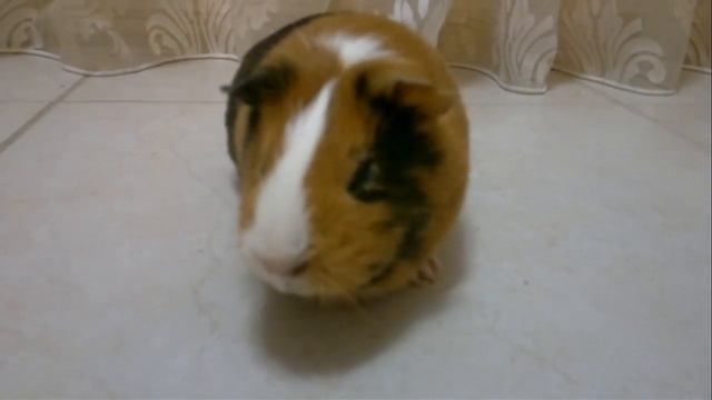 я хочу нет я хочу! смотреть онлайн