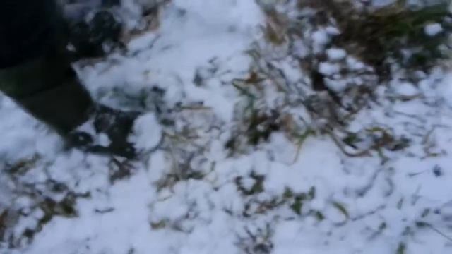 Поиск золота по снегу! смотреть онлайн