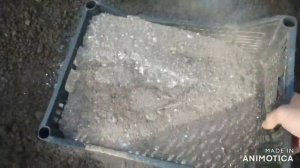 Как сделать грядку из профнастила своими руками