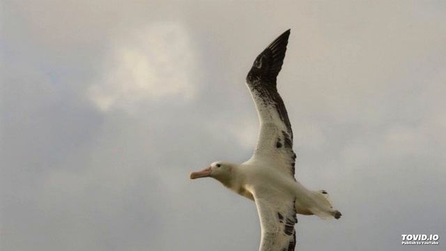 Волнуется шумит безбрежный океан смотреть онлайн