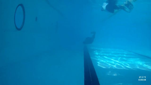 Чемпионат Краснодарского края по апное и AIDA Чемпионат Краснодарского края по фридайвингу смотреть онлайн